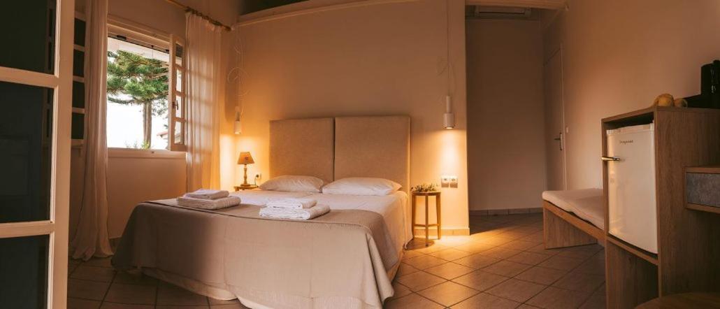 Villa Kastri Apartments Vasilikí Buitenkant foto