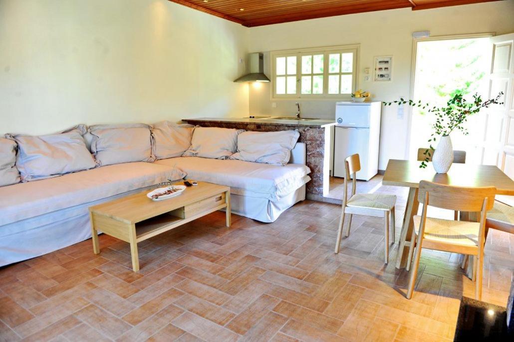 Villa Kastri Apartments Vasilikí Buitenkant foto